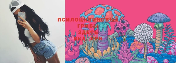 спиды Алзамай