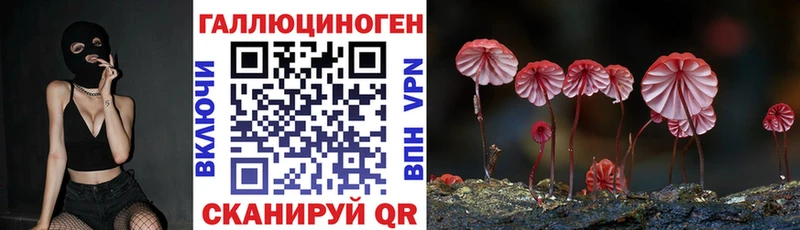darknet официальный сайт  Осинники  Псилоцибиновые грибы мицелий 
